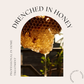 TO DO LIST - [TO DO LIST] HONEY GLOW MASK - 30 SPA-GRADE SHEET MASKS